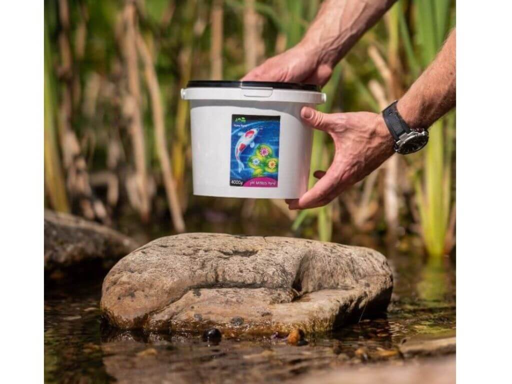 pH minus Pond
